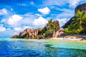 Seychelles, beach, palm trees