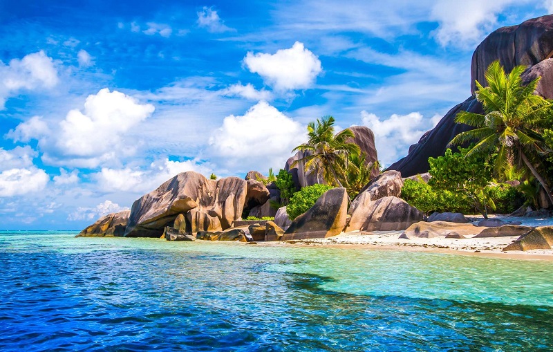 Seychelles, beach, palm trees